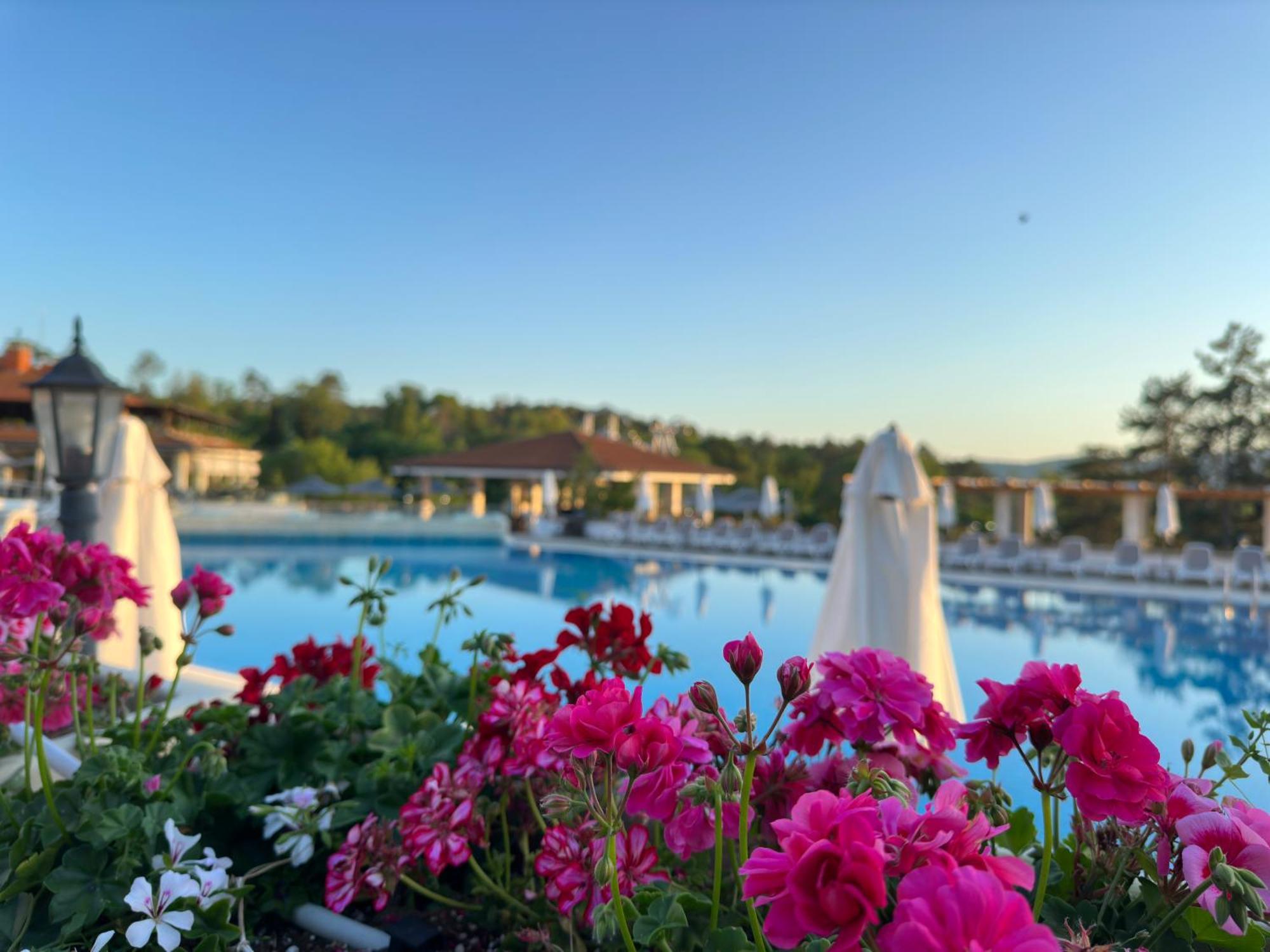 Sm Lovely Apartments On The First Line In Sozopol Esterno foto